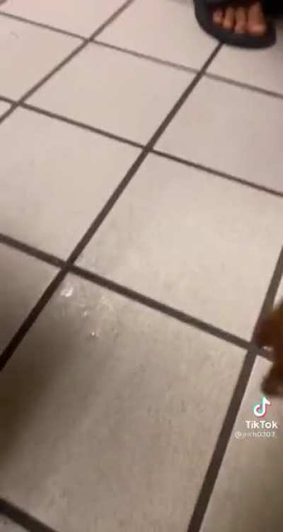 He really must’ve had too pee…