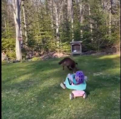 Fetch