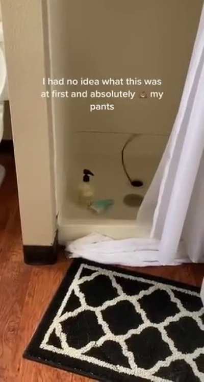 I am confused