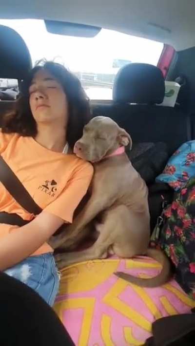 Sleepy boy ??