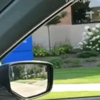 Who's that Pokemon?