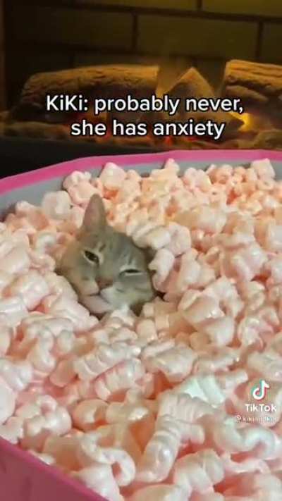 Caption: she’s a hugger, not a fighter