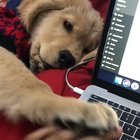 This is why I can’t get any work done