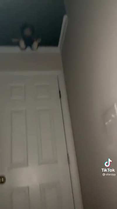 Squeal, drinking from a hamster bedazzled bottle, Emily Dickinson's ghost, fake accent, ouija board, doll flipping, no ceiling, his dad, the purge, felt like he might puke, dirty bathtub, might drown in bile. Just enjoy the cringe, dont bully him.