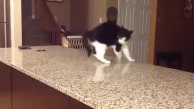 To appear intimidating