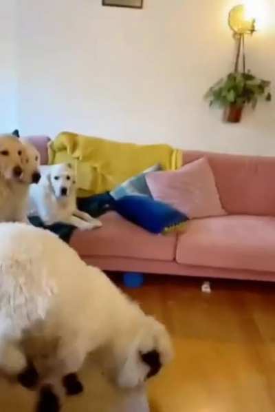 They were having a meeting