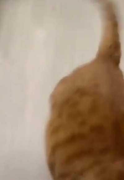 To surprise attack