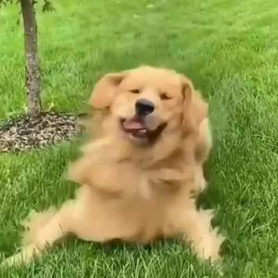 Derp mode....