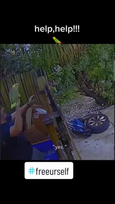 Maybe maybe maybe