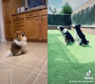A duet of good boys