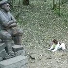 THROW IT YOU MONSTER