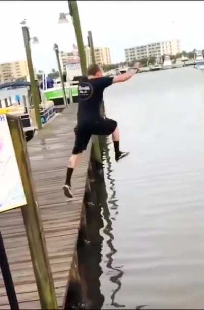 What a dive ?
