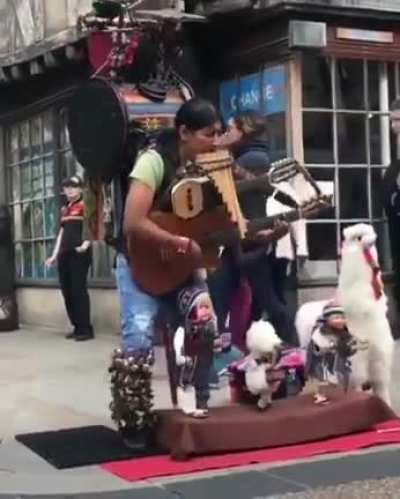 Street Artist pro skills