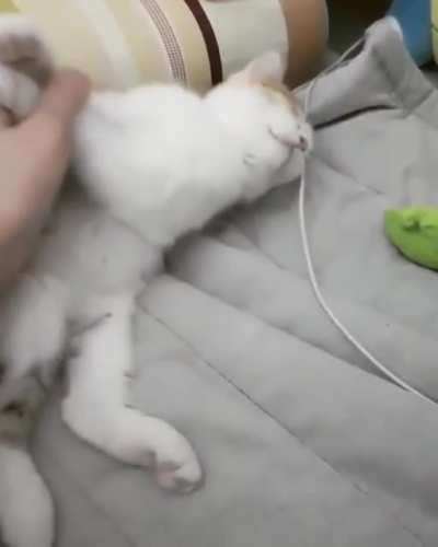 after the nip