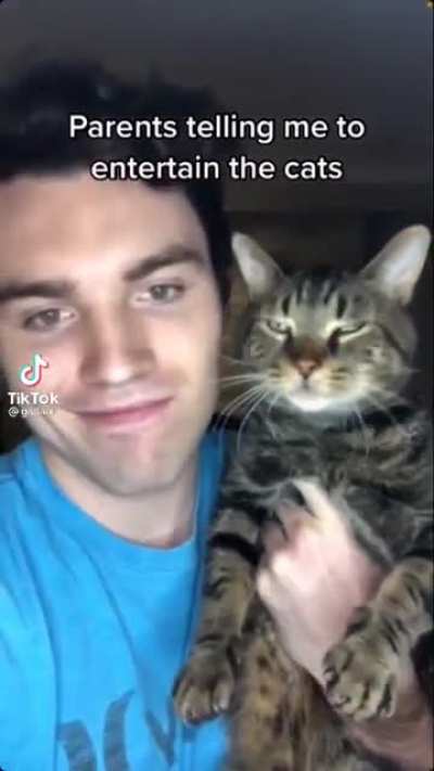 this guy is not a cat person