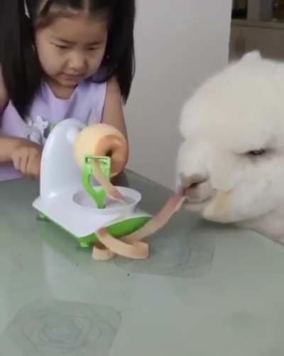 I'm helping!