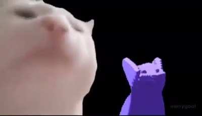 Man i know this cat