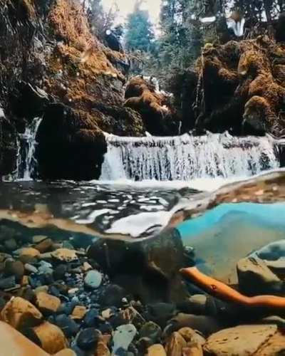The sheer clarity of this waterfall in Alaska