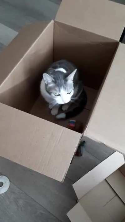 This is her way of trying to get me to play