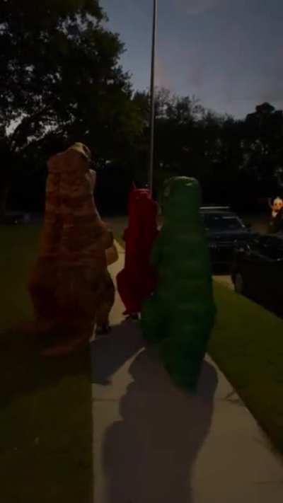 My son and his boys had an idea and some fun was had.