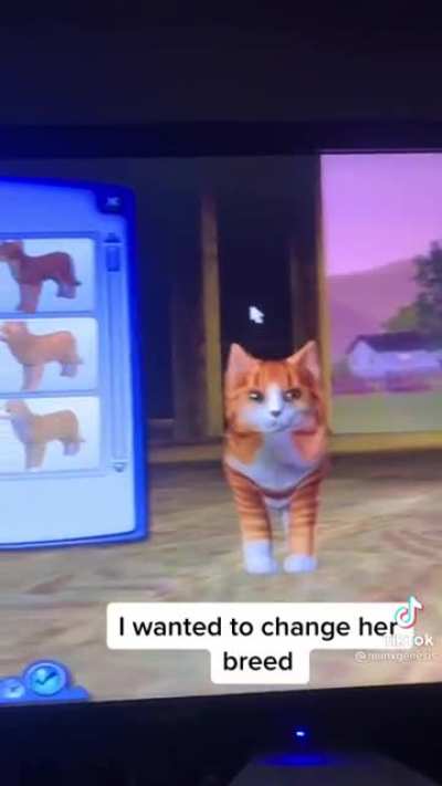 From r/softwaregore posted by u/Courghet