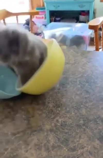 Stupid bowls!