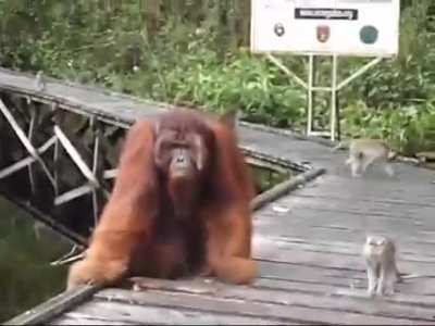 "hey dude...can I have that?" No! "Dude c'mon lemme have it-yoink! OH SH** AAA HELP!!!"