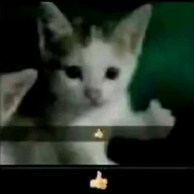 ??