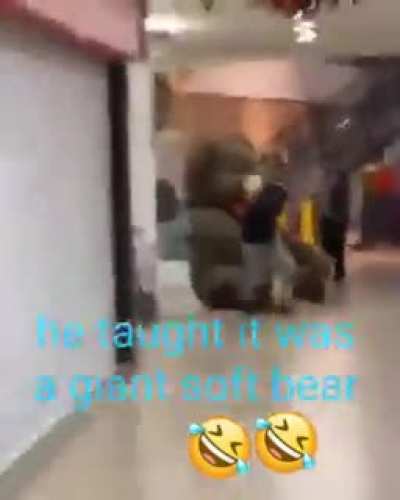 Bro wtf ??