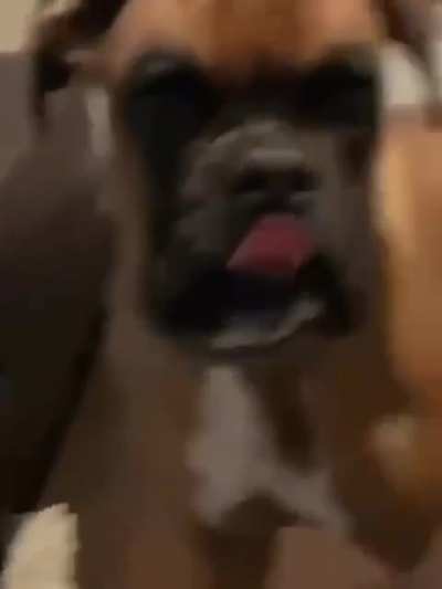 Tasty???