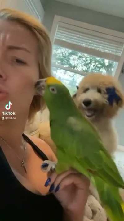 Who loves mommy?