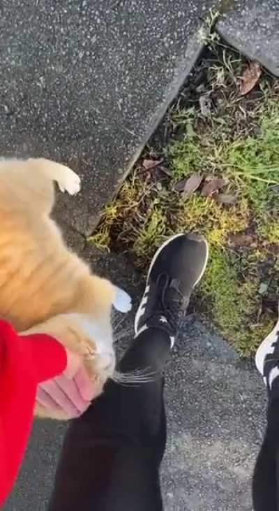 Maybe maybe maybe