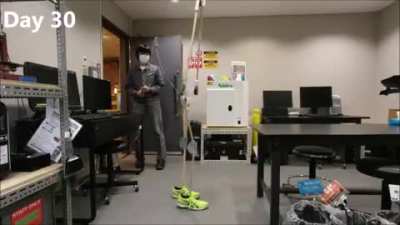 First 50 days of a 100-day "not afraid of failure" challenge to make a running robot from scratch