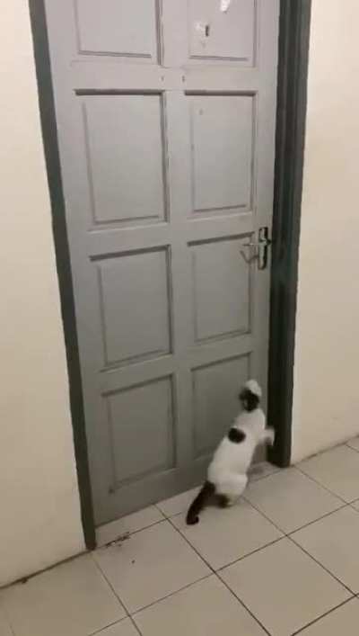 Fine. I'll do it myself.
