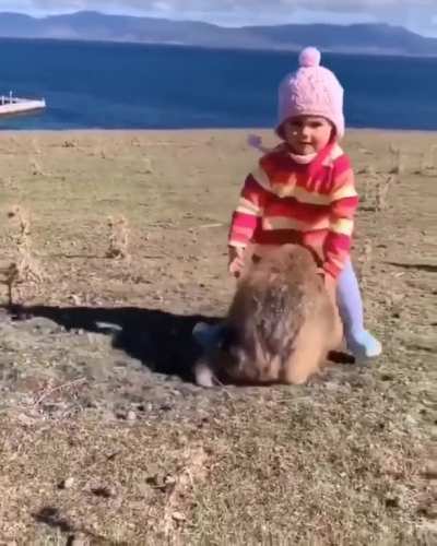 Wombat with a little girl?