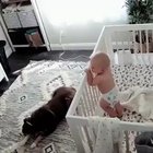 Nanny cam captures a dog attacking the crying baby ........ with a kiss???❤️
