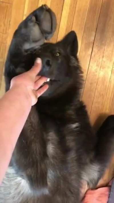 Big fingy biter