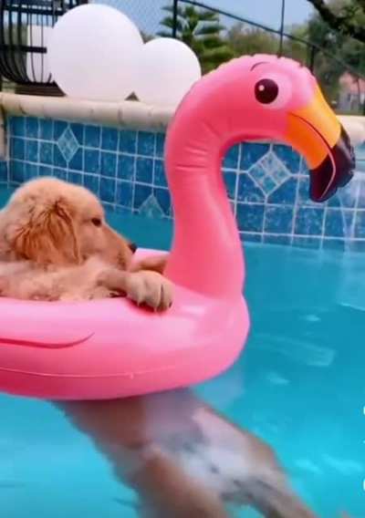 Summer mood ?