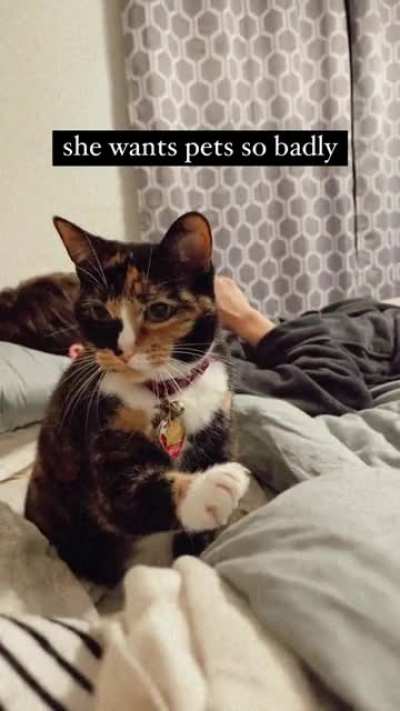 she’s always so threatening with her dang claws! (yes i trim them often, she just likes scratching posts ?)