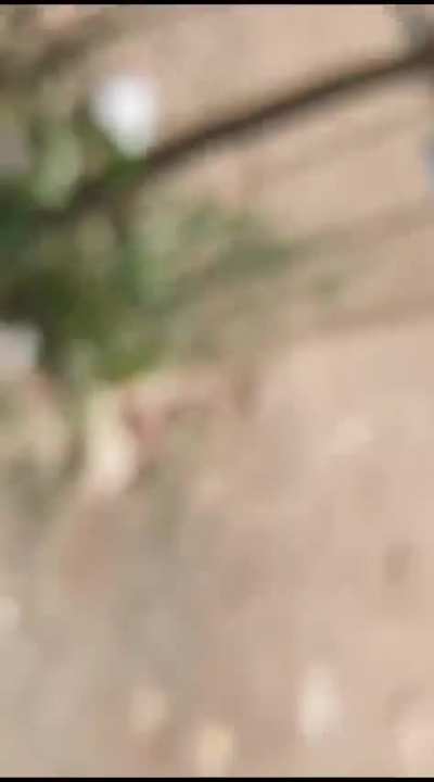 Blast in an illegal firecracker manufacturing factory in India