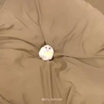AWWWWW