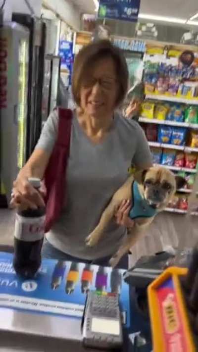 What did the dog do?? ??