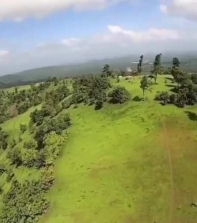 Taking a drone out for a test run
