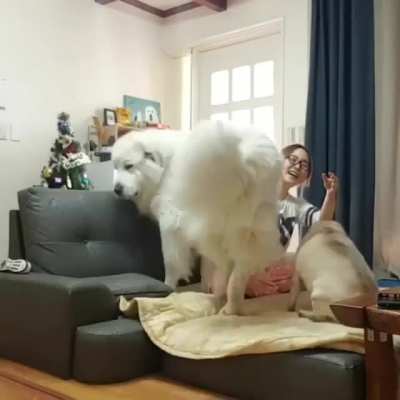 If I fit, I sit.