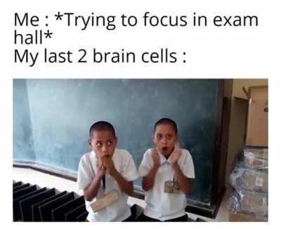 If only my last 2 brain cells were this talented