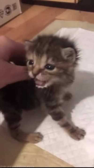 This belongs here