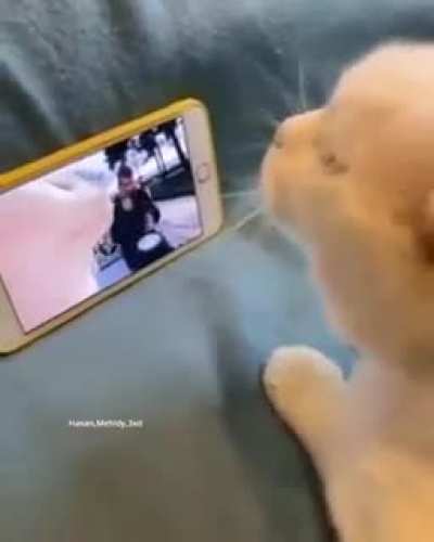 Double Vibing