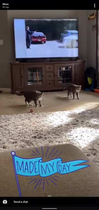 Brother and sister don't like the new rug