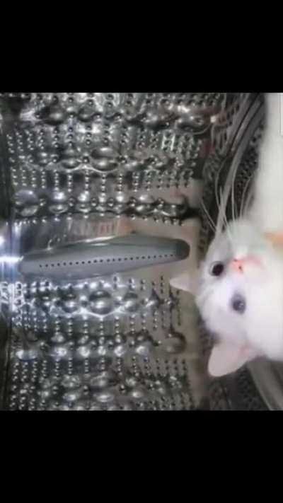 appliance inspector?