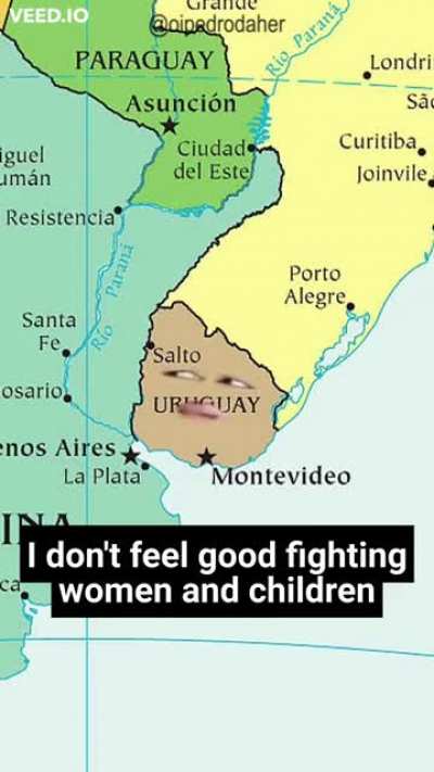 How the Paraguayan War ended